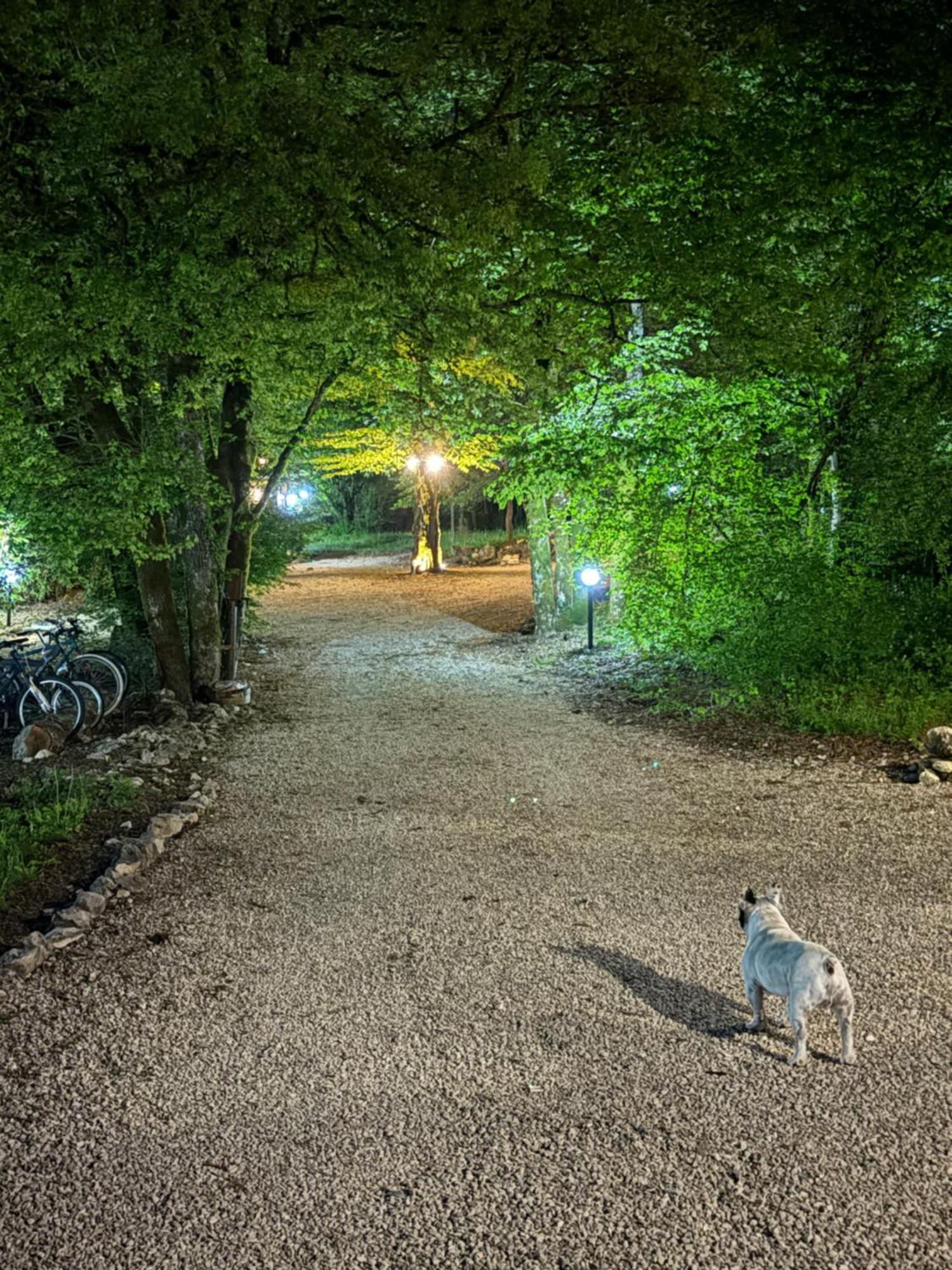 Carpe Diem Retafani Roger'S House Altipiani di Arcinazzo Dış mekan fotoğraf